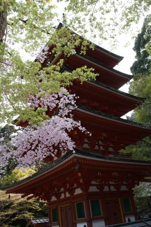 長谷寺_五重塔.JPG