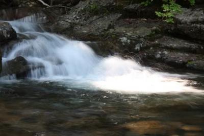 IMG_8628.JPG