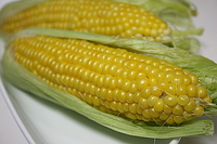 とうもろこし
