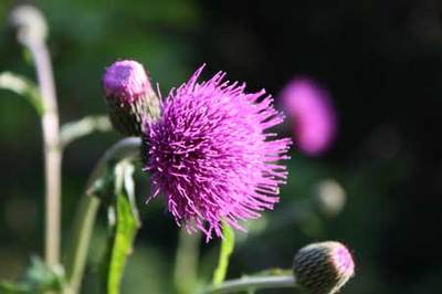 10-06-08-2.jpg