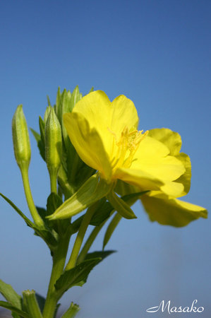 11-08-03-F.jpg