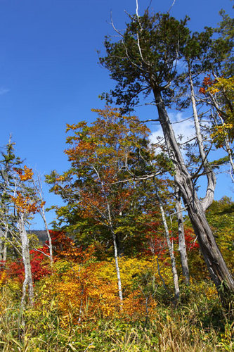 11-10-09-2.jpg