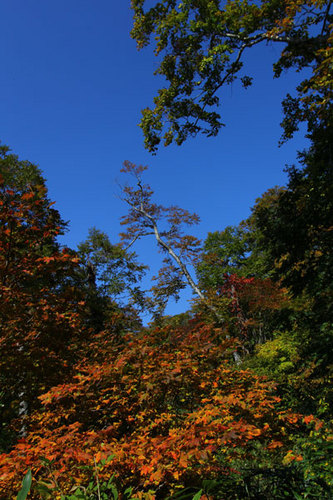 11-10-09-3.jpg