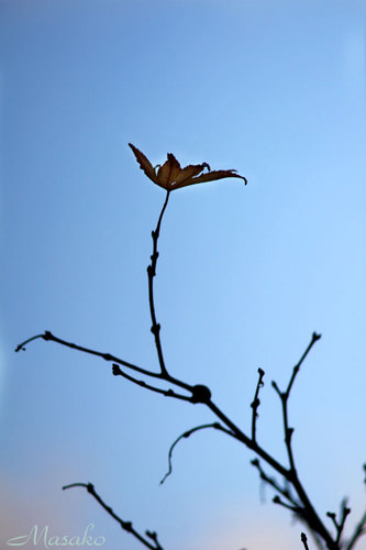 11-12-10.jpg