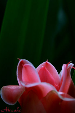 12-03-15-11.jpg