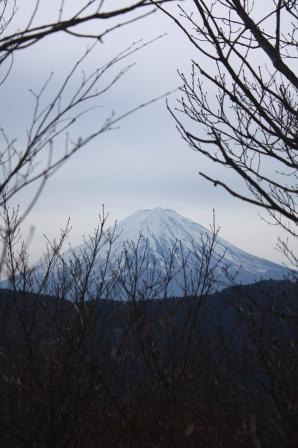 IMG_4034.JPG