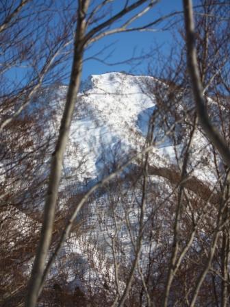 雑木林越しの松平山