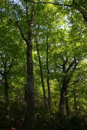IMG_7523.JPG