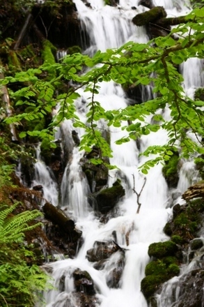 IMG_7584.JPG