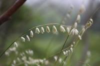 IMG_8473.JPG