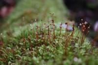 IMG_8742.JPG