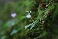 IMG_8749.JPG