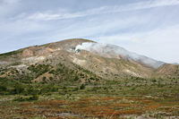 IMG_8890.jpg