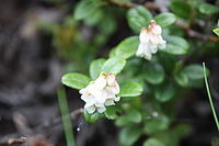 IMG_8944.jpg