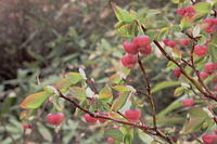 IMG_8973.jpg