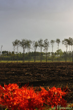 11-10-05.jpg