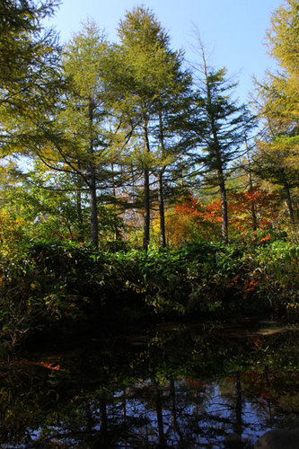 11-10-09-6.jpg