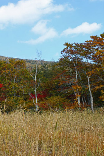 11-10-09-7.jpg